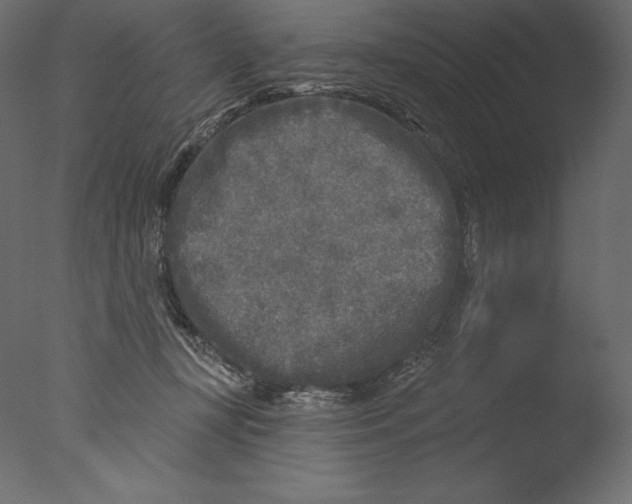 X0000076340367200610201740