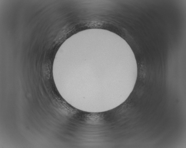 X0000076340370200610201740