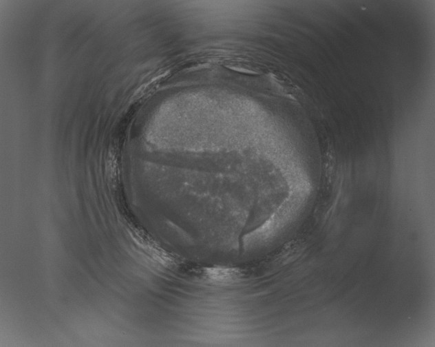 X0000076340371200610201740