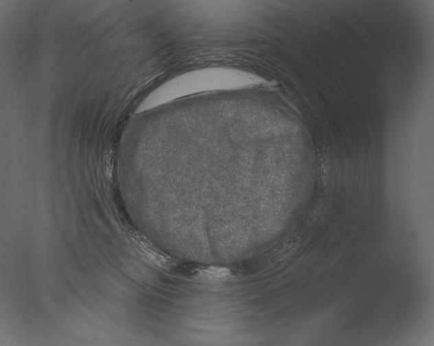X0000076340374200610201740