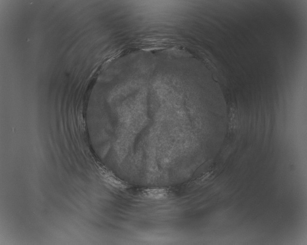 X0000076340377200610201740