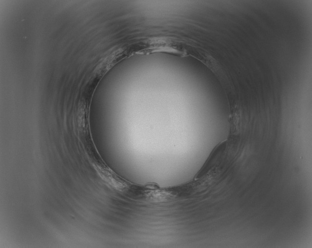X0000076340379200610201740