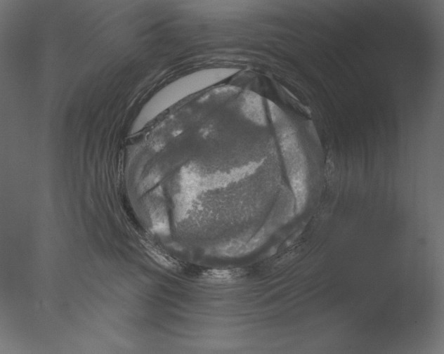 X0000076340381200610201740
