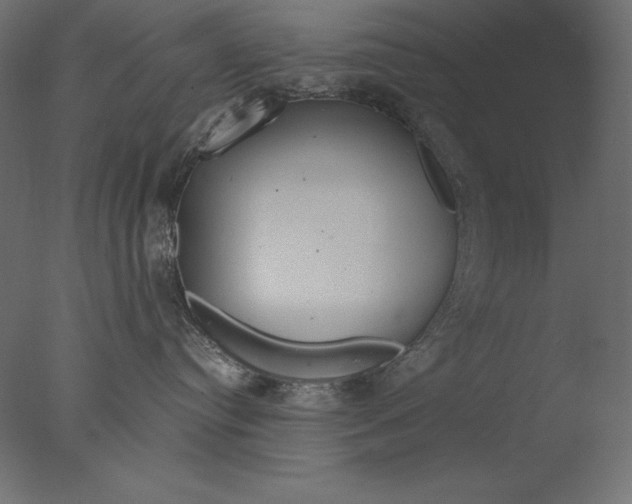 X0000076340384200610201740