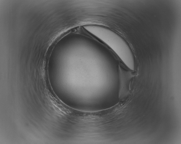 X0000076340387200610201740