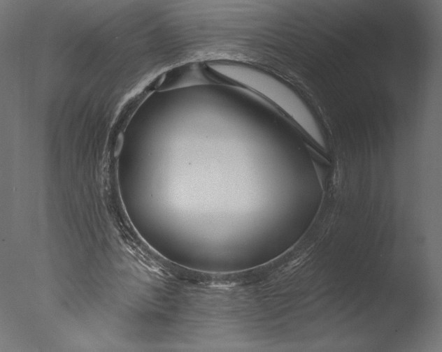 X0000076340388200610201740