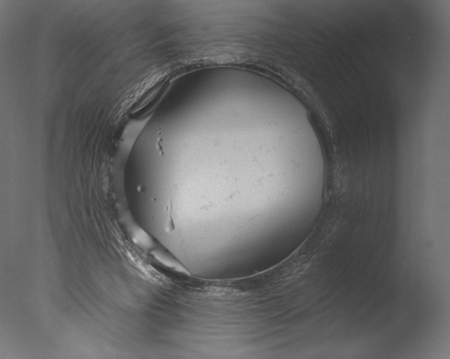 X0000076340393200610201740