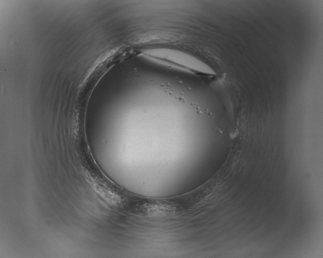 X0000076340400200610201739