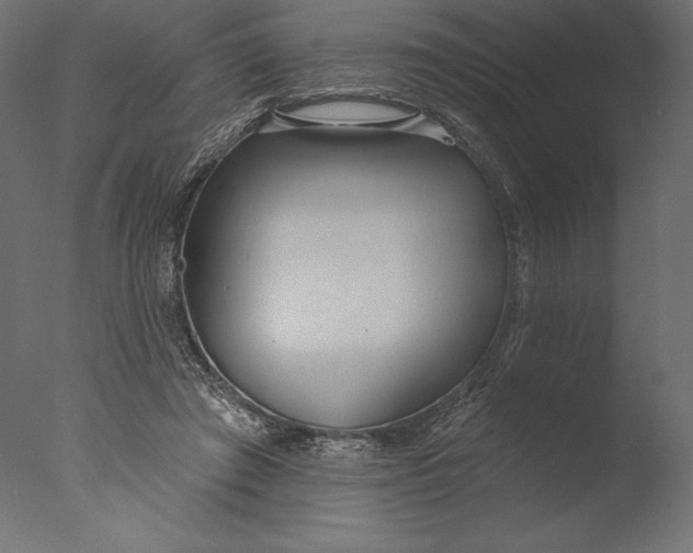 X0000076340401200610201739