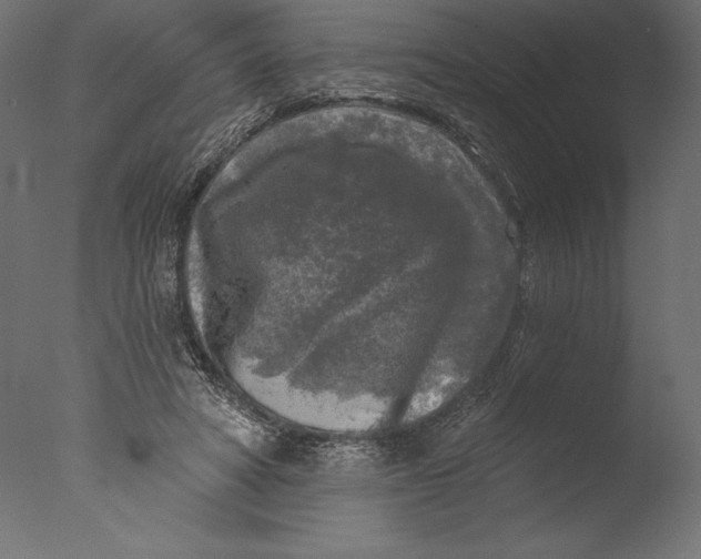 X0000076340402200610201739