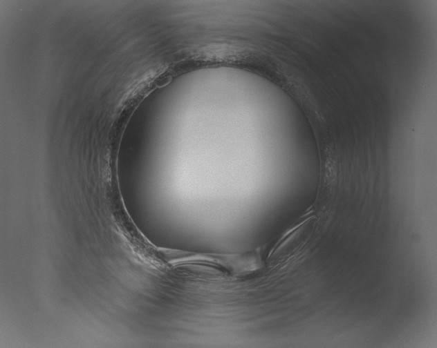 X0000076340403200610201739