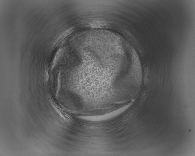 X0000076340405200610201739