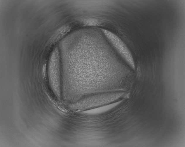 X0000076340406200610201739