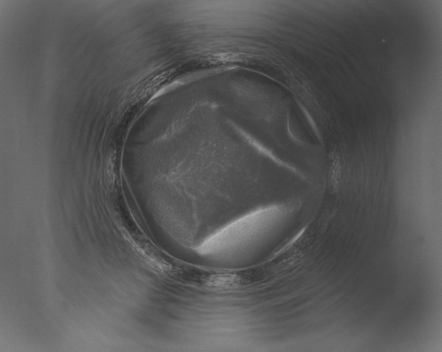 X0000076340410200610201739