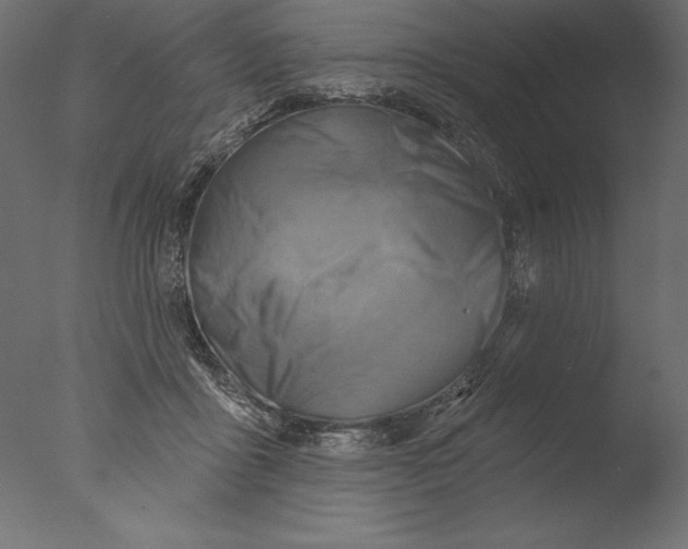 X0000076340411200610201739