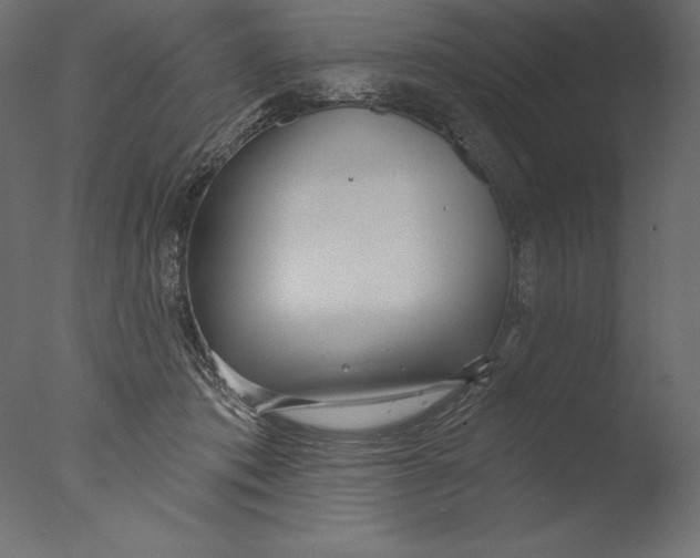 X0000076340413200610201739