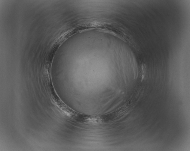 X0000076340415200610201739