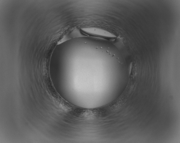 X0000076340416200610201739