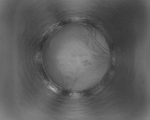 X0000076340419200610201739