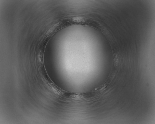 X0000076340424200610201739