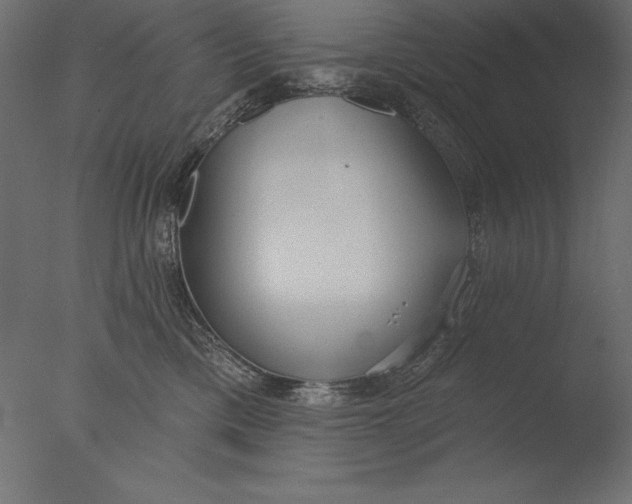 X0000076340425200610201739