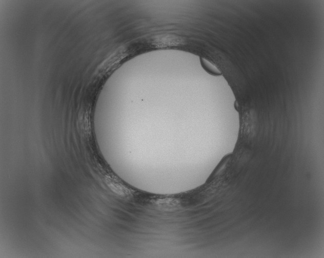 X0000076340426200610201739