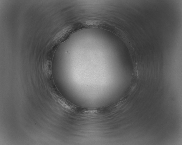 X0000076340428200610201739