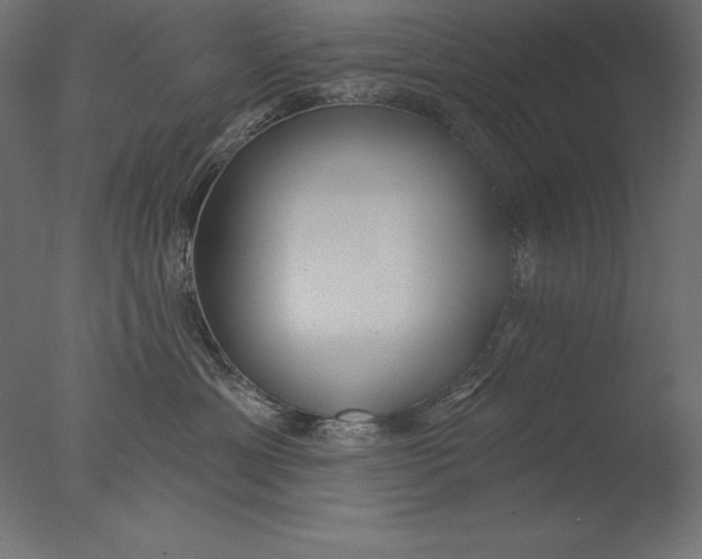 X0000076340429200610201739