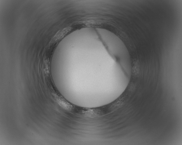 X0000076340430200610201739