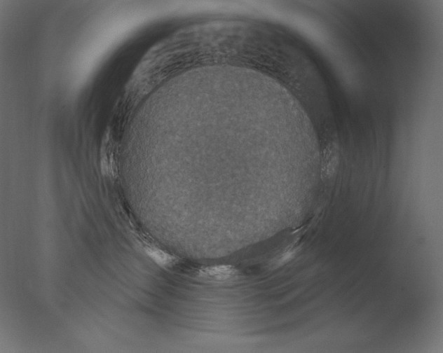 X0000076340431200610201739