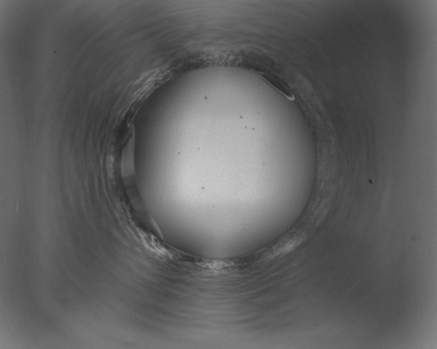 X0000076340432200610201739