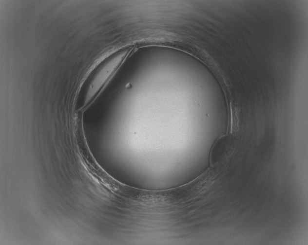 X0000076340435200610201738