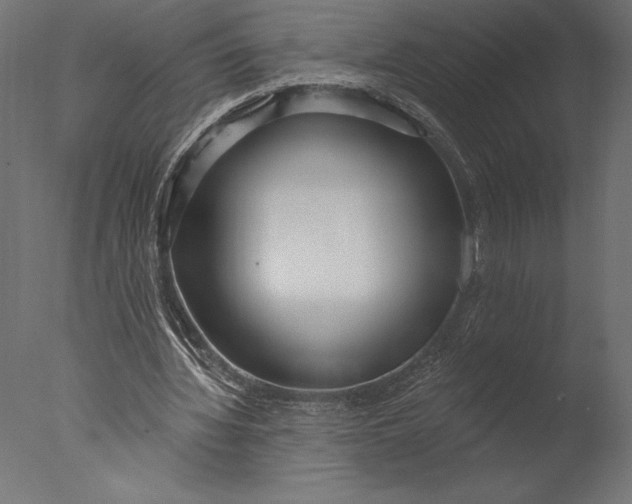 X0000076340436200610201738