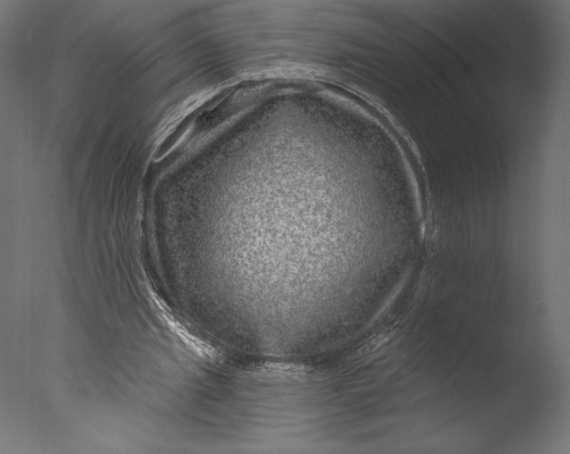 X0000076340437200610201738
