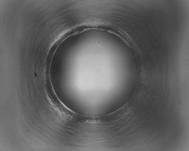 X0000076340440200610201738
