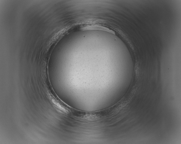 X0000076340445200610201738