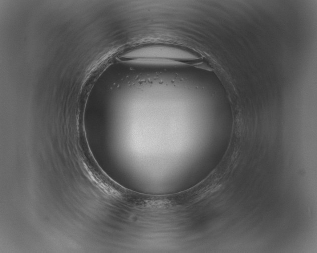 X0000076340446200610201738