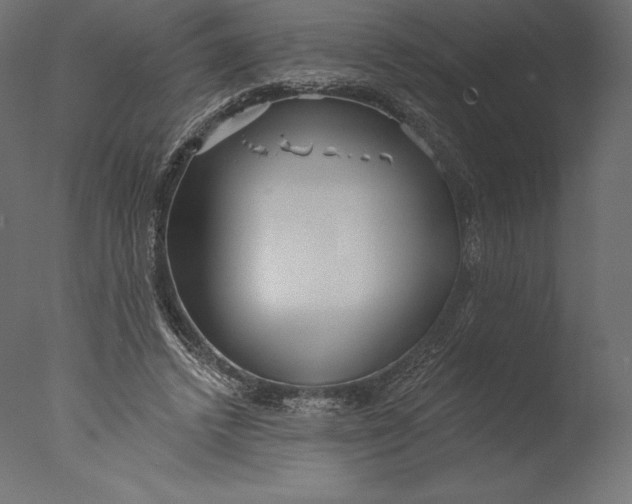 X0000076340448200610201738