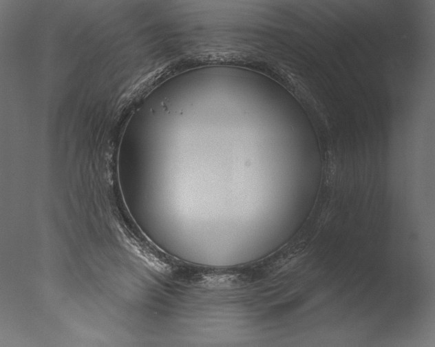 X0000076340450200610201738