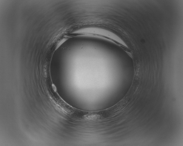 X0000076340452200610201738