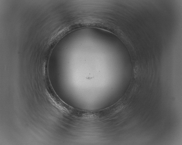 X0000076340454200610201738
