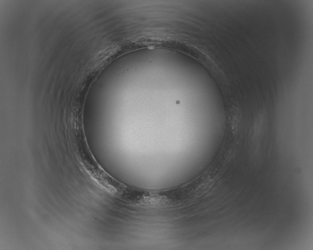 X0000076340455200610201738