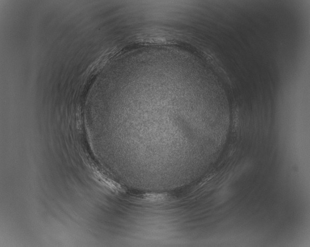 X0000076340457200610201738