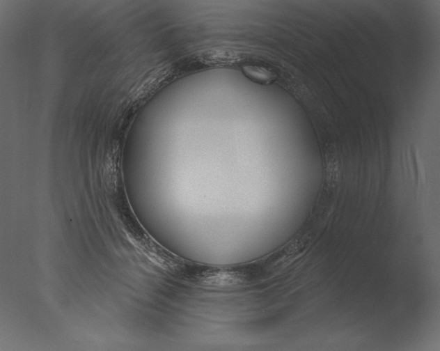 X0000076340460200610201739