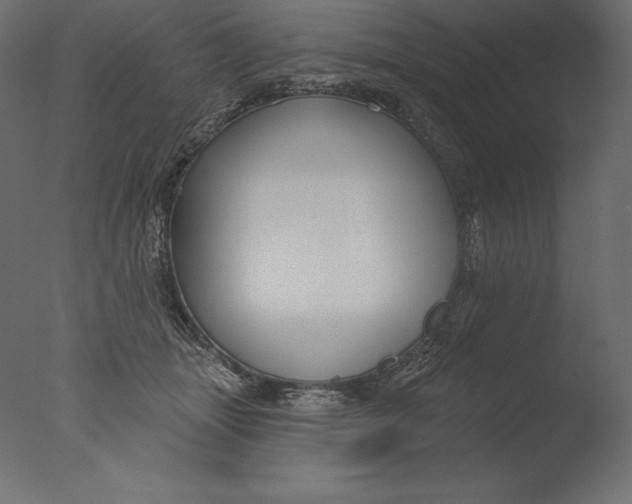 X0000076340463200610201739