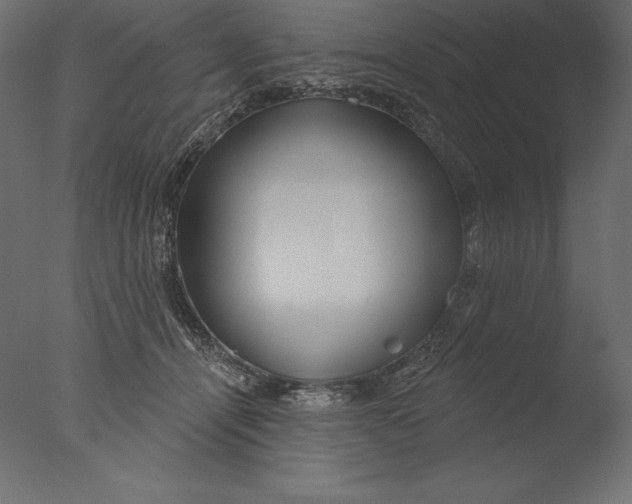 X0000076340464200610201739