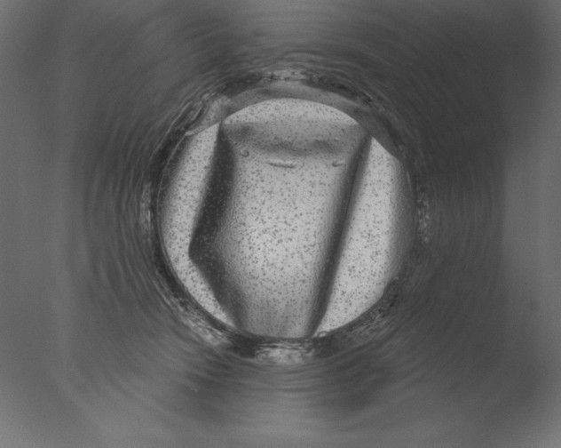 X0000076340466200610201739