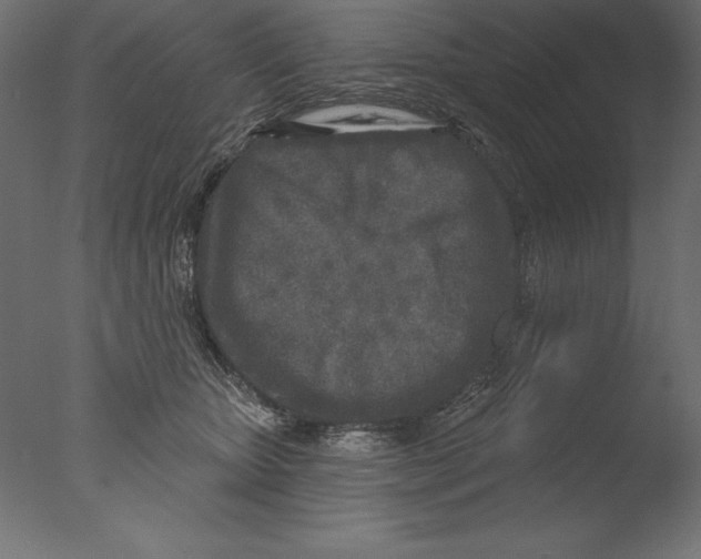 X0000076340467200610201739