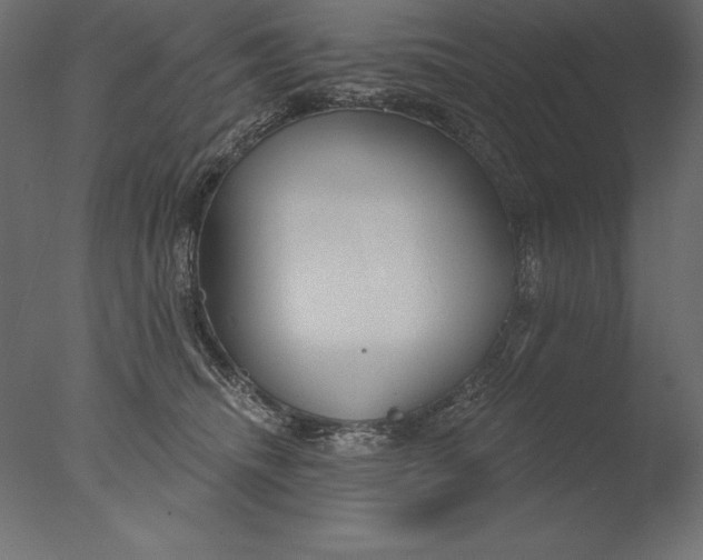 X0000076340468200610201739