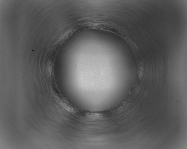 X0000076340476200610201739